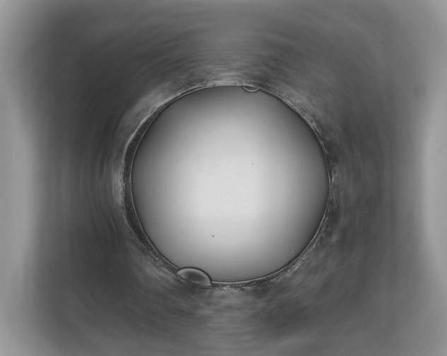 X0000112540290200908241532