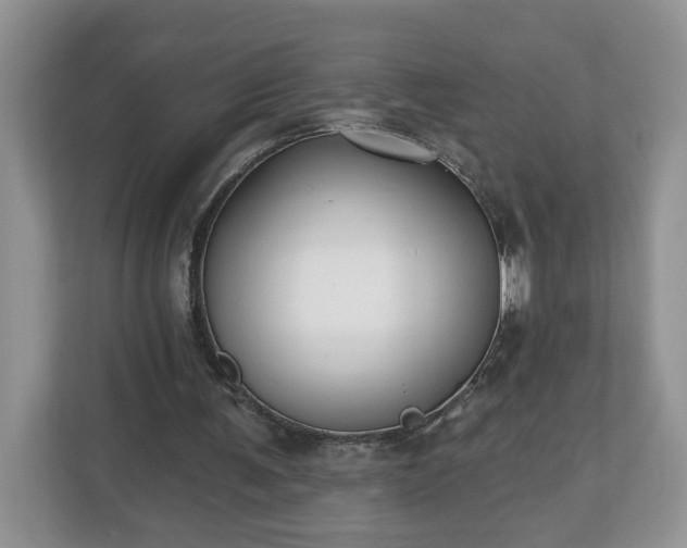 X0000112540291200908241532