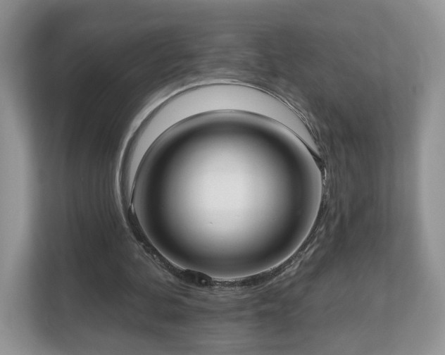 X0000112540292200908241532