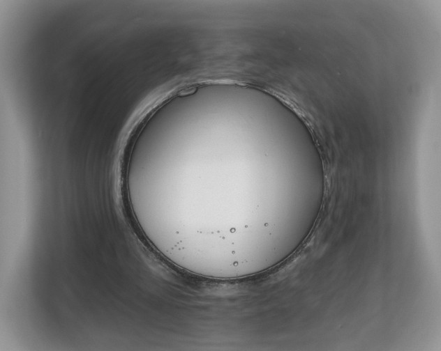 X0000112540293200908241532