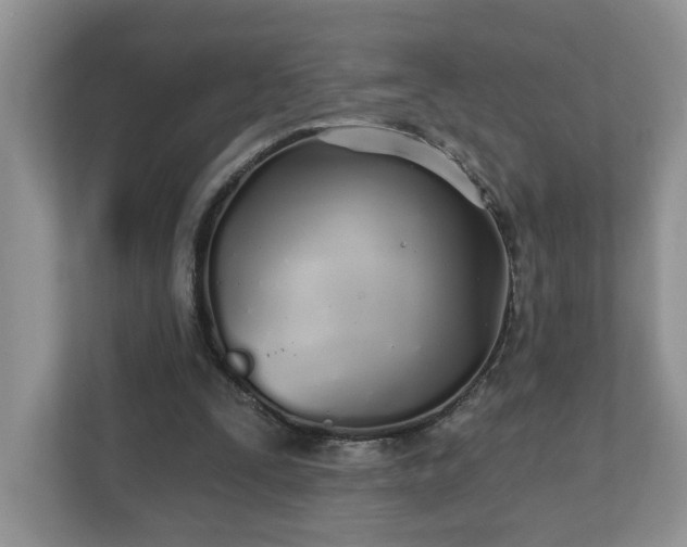 X0000112540295200908241532