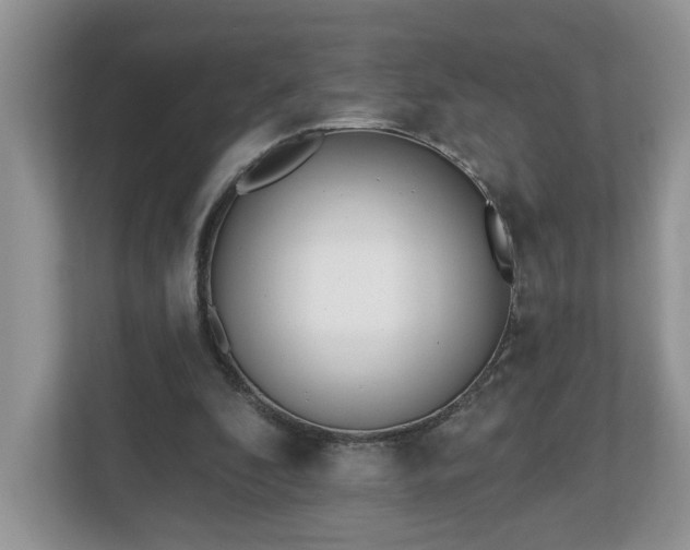 X0000112540296200908241532