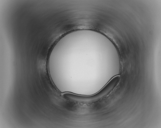X0000112540297200908241532