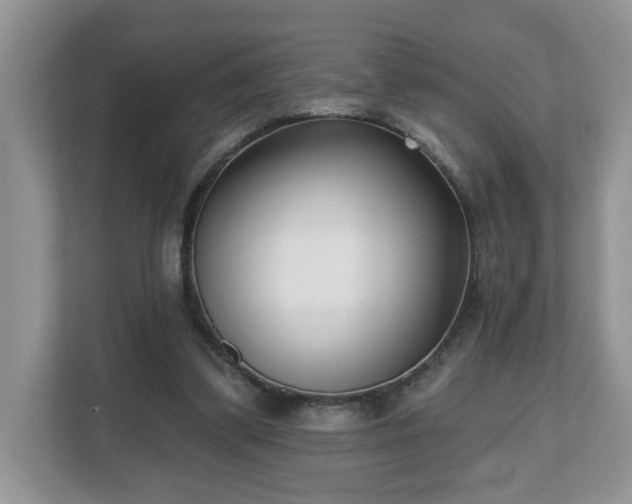 X0000112540299200908241532