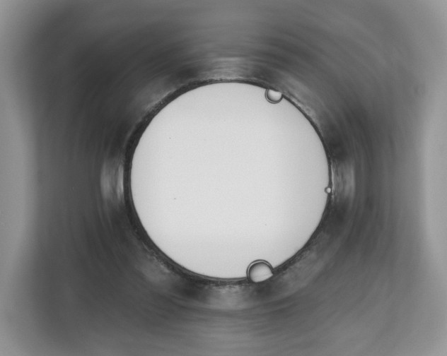 X0000112540301200908241532