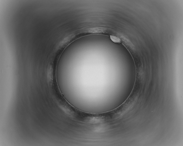 X0000112540303200908241532