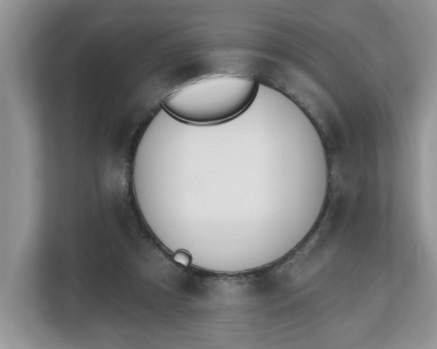 X0000112540305200908241532