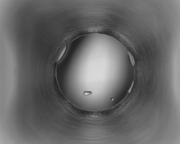 X0000112540308200908241532