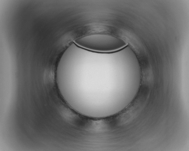 X0000112540309200908241532