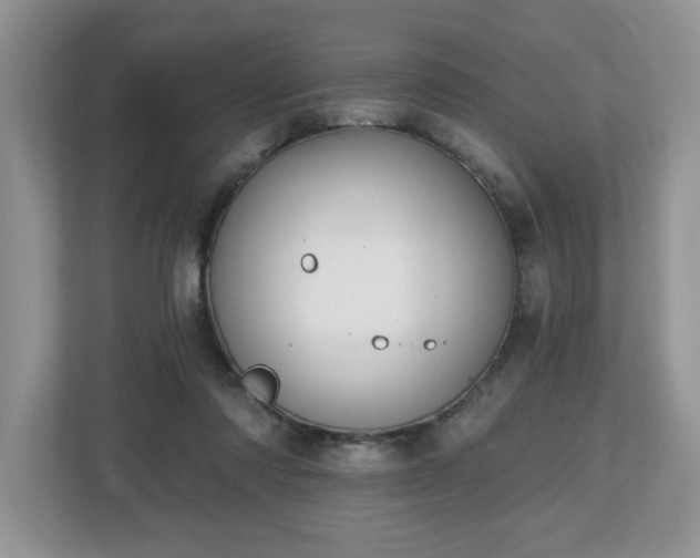 X0000112540310200908241532