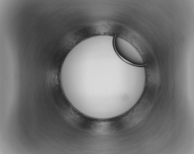 X0000112540313200908241532