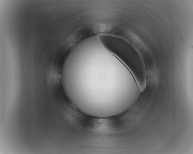 X0000112540324200908241532