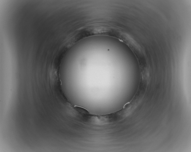 X0000112540327200908241532