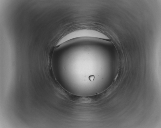 X0000112540328200908241532