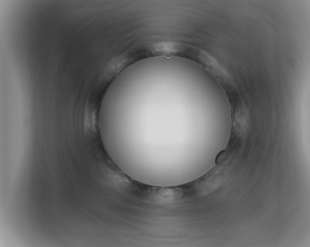 X0000112540330200908241532