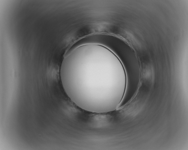 X0000112540332200908241532