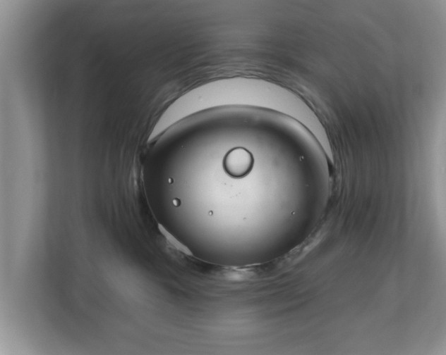 X0000112540333200908241532