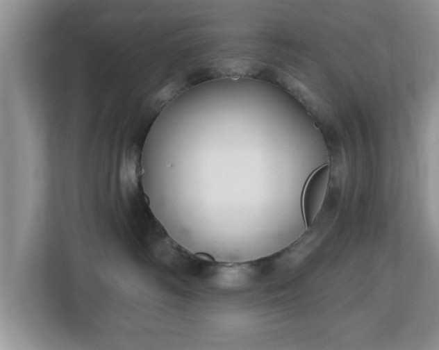 X0000112540334200908241532