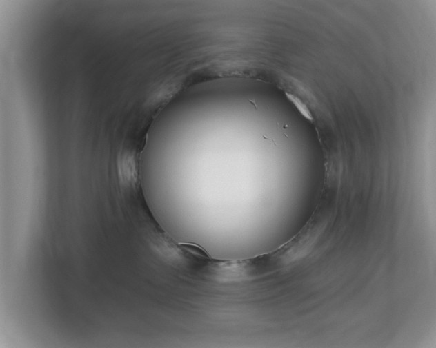 X0000112540335200908241532
