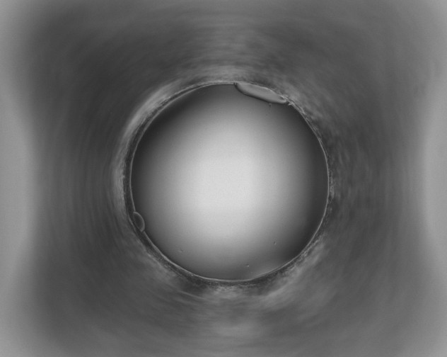 X0000112540341200908241531