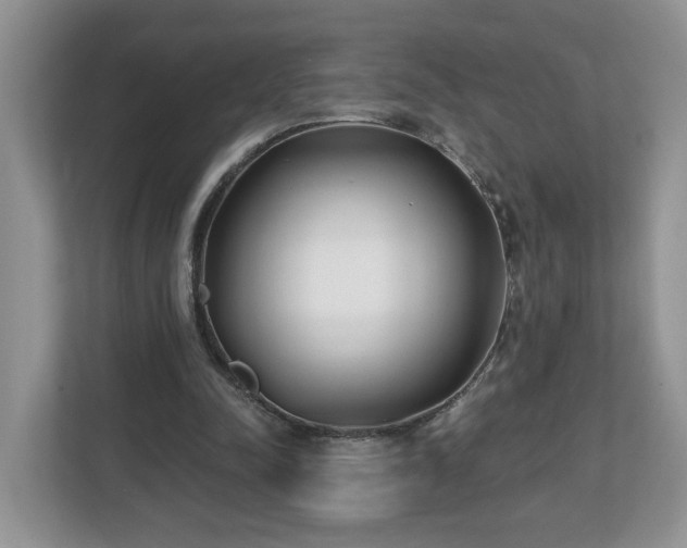 X0000112540342200908241531