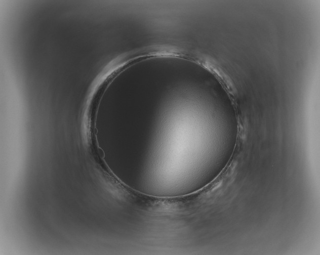 X0000112540343200908241531