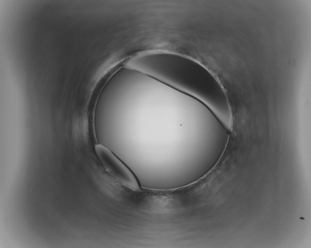 X0000112540344200908241531