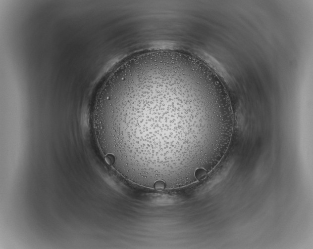 X0000112540347200908241531