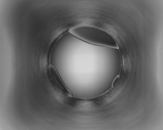 X0000112540348200908241531