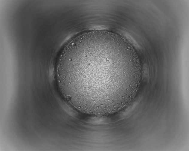 X0000112540351200908241531