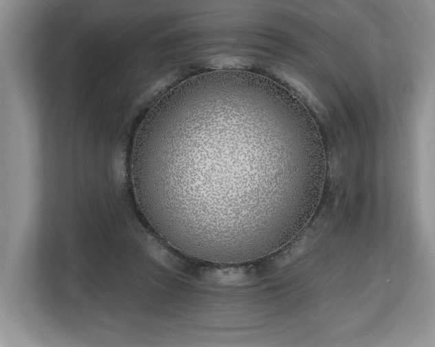 X0000112540353200908241531