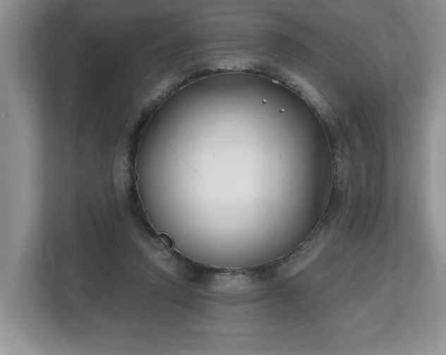 X0000112540354200908241531