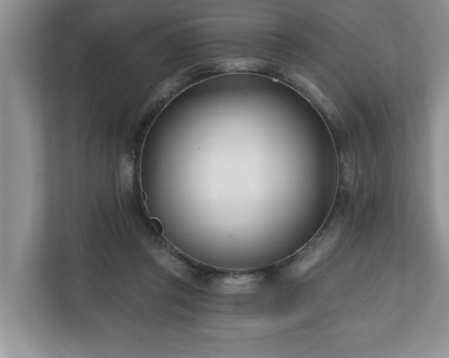 X0000112540357200908241531