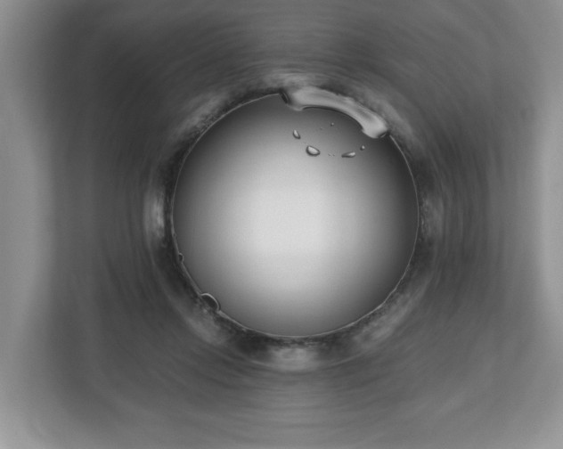 X0000112540358200908241531
