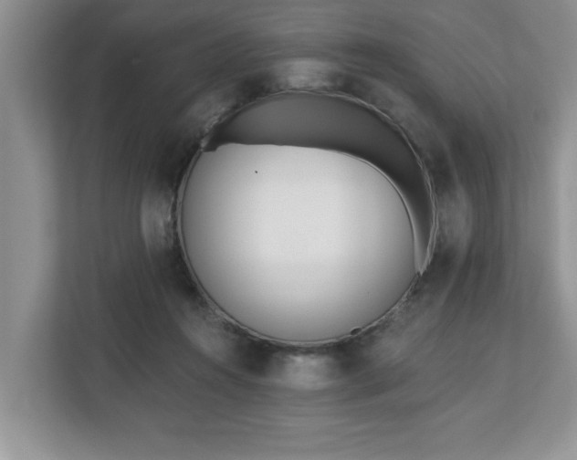 X0000112540360200908241531