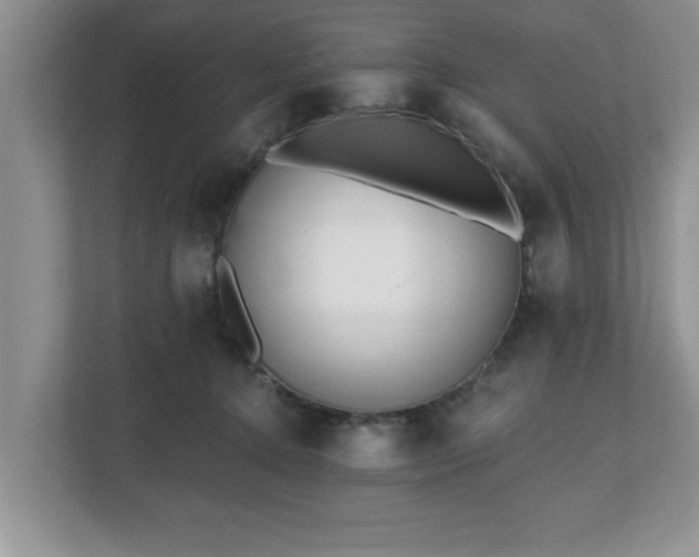 X0000112540368200908241531