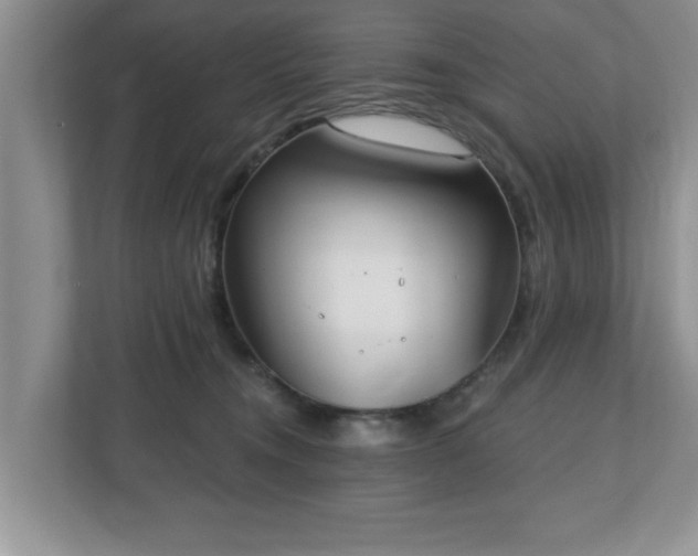 X0000112540372200908241531