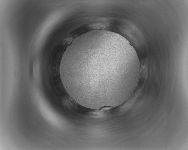 X0000112540381200908241532