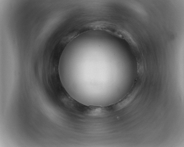 X0000112540382200908241532