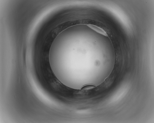 X0000112540383200908241532