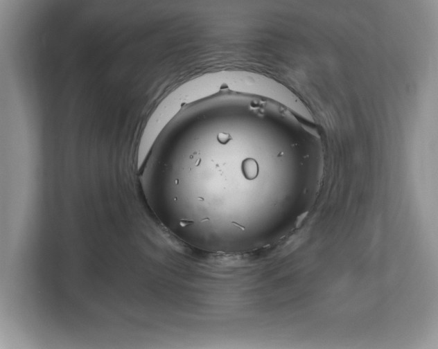 X0000112540384200908241532