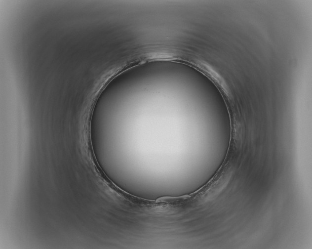 X0000112540385200908241531