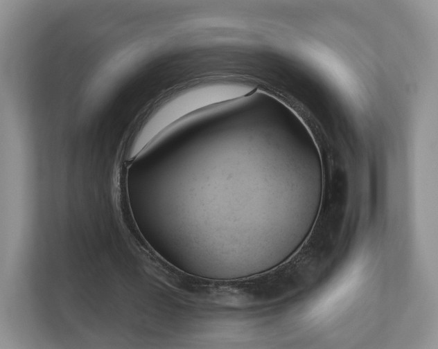 X0000112540387200908241531