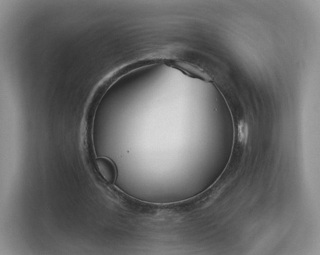 X0000112540388200908241531