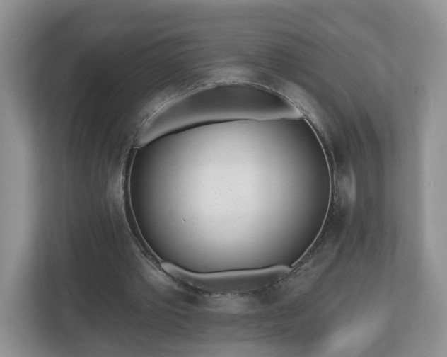 X0000112540389200908241531