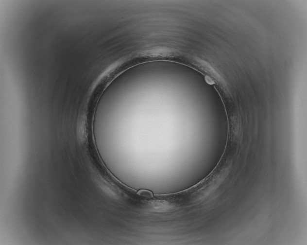 X0000112540392200908241531