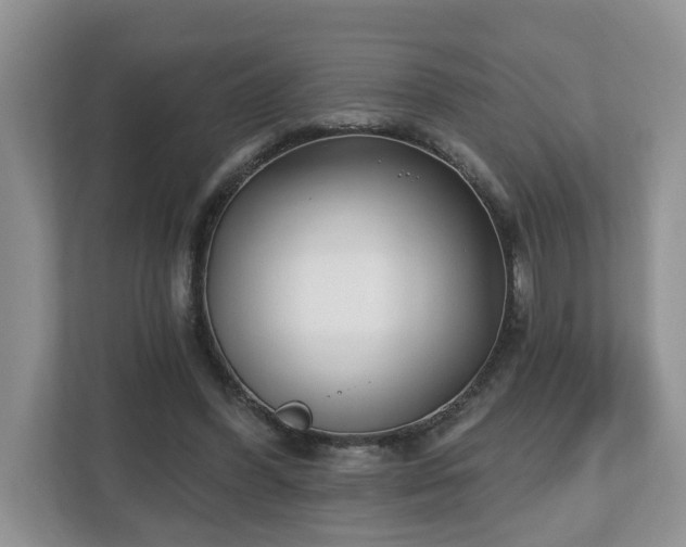 X0000112540396200908241531