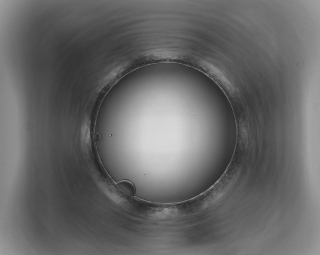 X0000112540398200908241531