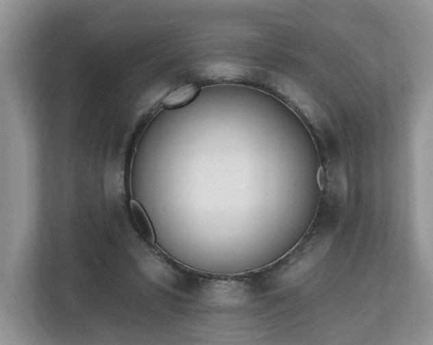 X0000112540399200908241531