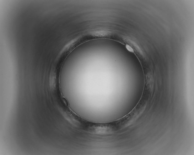 X0000112540400200908241531